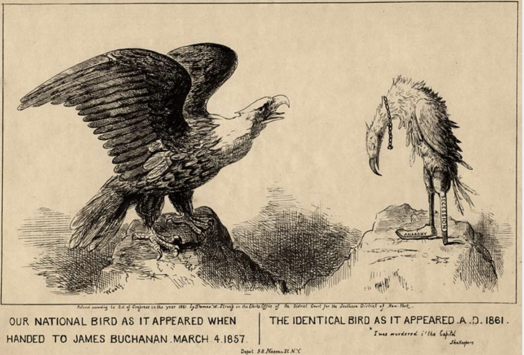 1861 Cartoon