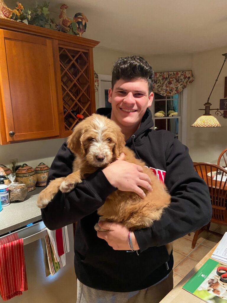 Meet Henry! – Pup Catch-up