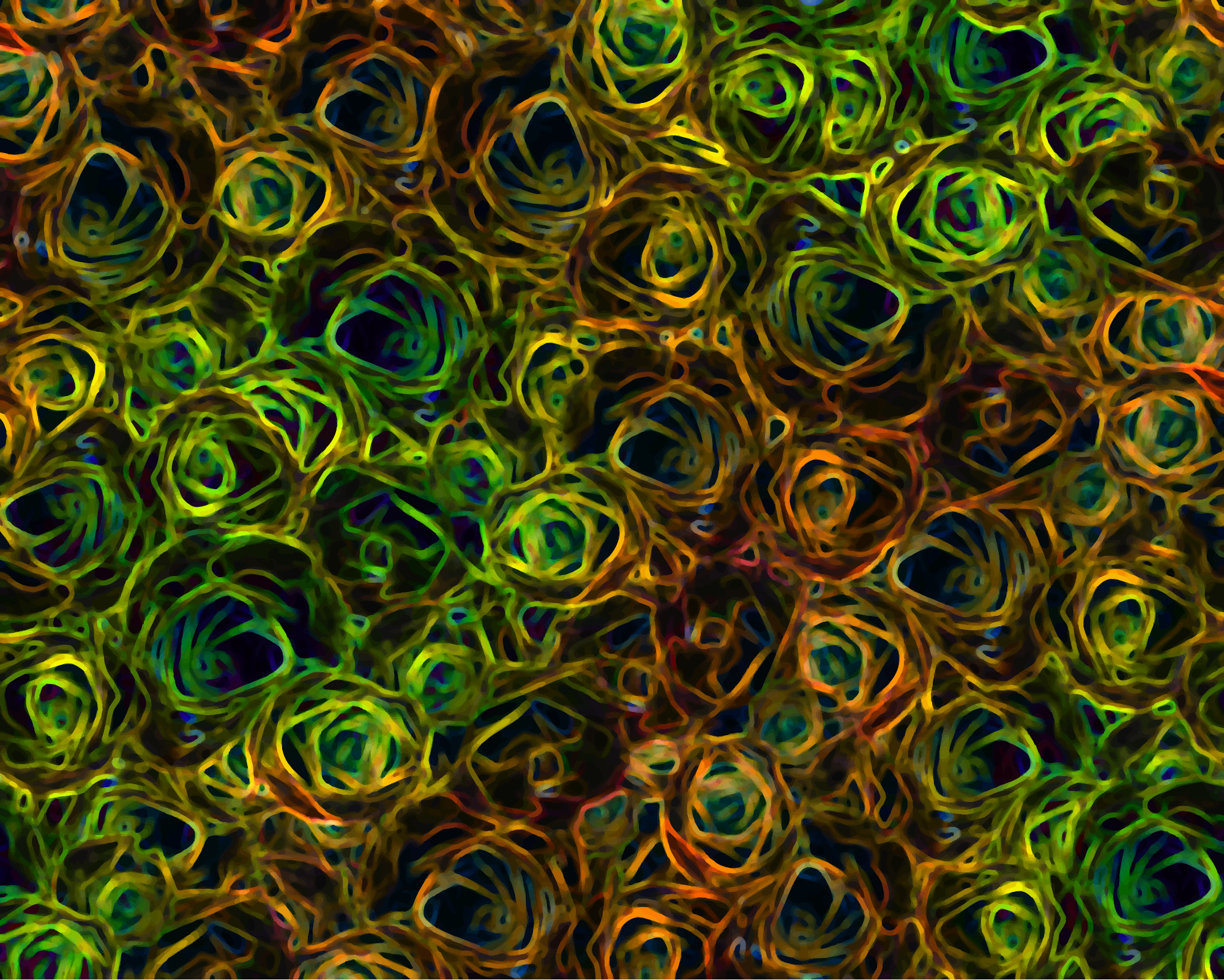 Abstract floral background design with black, red, yellow, and green swirls