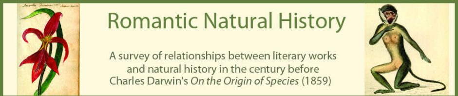 Romantic Natural History
