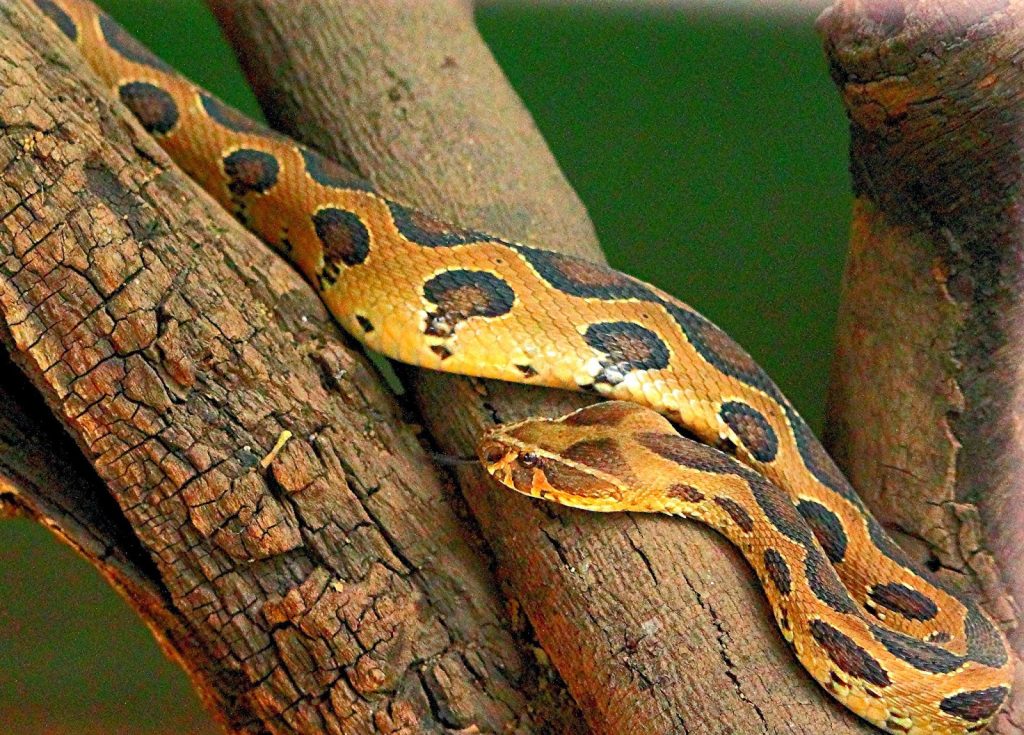 Was it worth the tea? Monsters & Madness